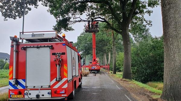 Brandweer zaagt loshangende takken los tussen Assen en Rolde (video)