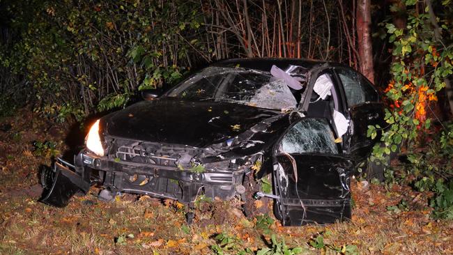 Paard overleden bij aanrijding met auto