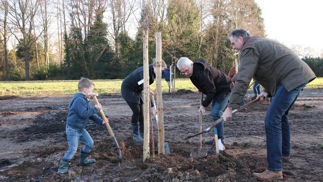 Recordaantal bomen en struiken geplant in Drenthe