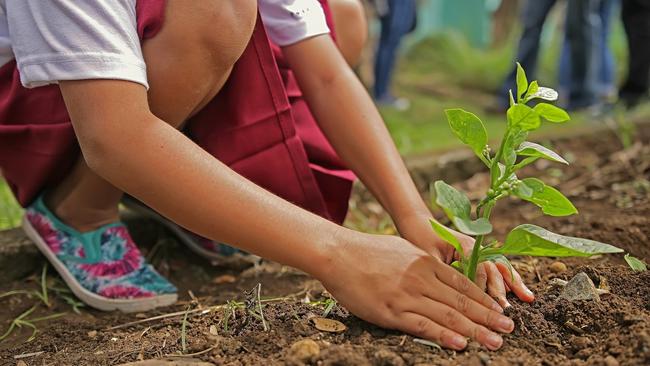 Drenthe doet mee aan EO-actie â€˜Nederland plant bomenâ€™