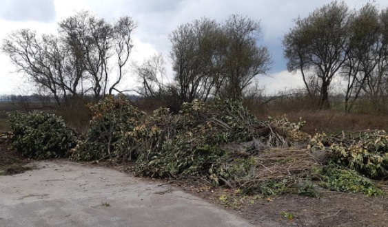 Politie doet onderzoek na dumping van grote hoeveelheid groen afval