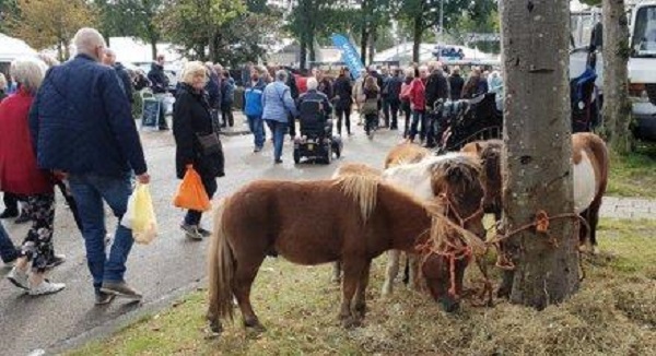 Feestweek Zuidlaren gaat door: gemeente begint met voorbereidingen