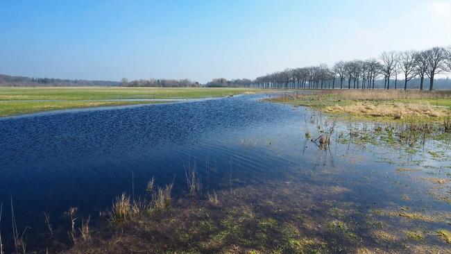 Natuurinrichting Oude Willem afgerond