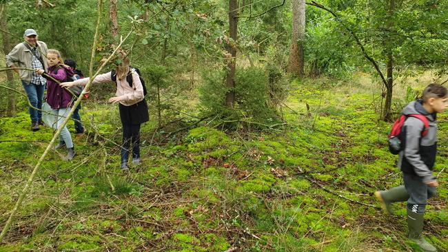 Bos Natuurlijk van IVN nog een jaar uitgesteld 