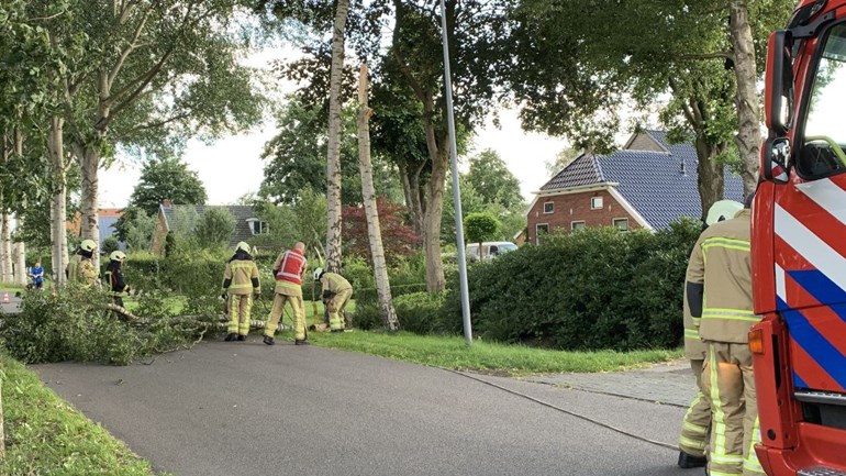 Brandweer verwijdert gevaarlijk hangende tak