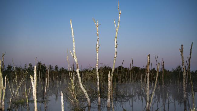 Into Nature van start