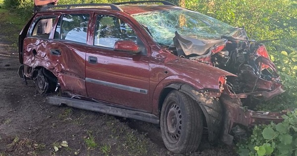 Politie met speurhonden op zoek naar gevluchte automobilist na aanrijding tegen boom