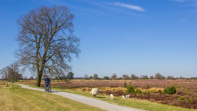 De rode loper ligt uit in de Drents-Friese Grensstreek