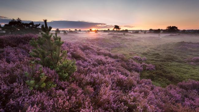 Ontwerp-Natuurvisie â€˜Gastvrije natuur 2040â€™â€¯ter inzage