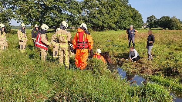 Brandweer redt paard van verdrinking in Loon (video)