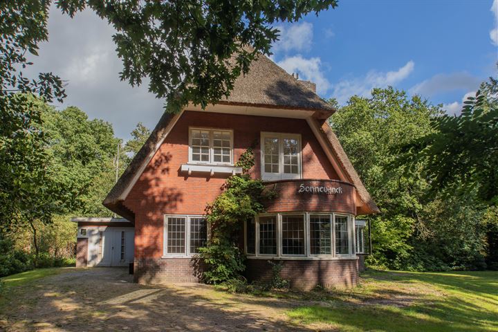 Te koop in Drenthe: rietgedekte villa 