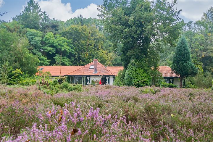 Te koop in Drenthe: Landhuis in eigen bos en heideveld