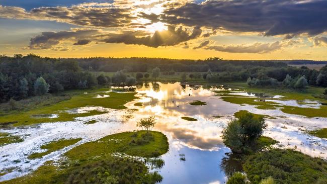 Provincie Drenthe koestert â€˜blauwe goudâ€™