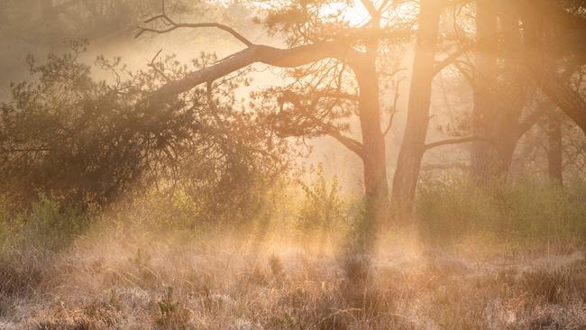 Natuurwerkdag 2021: Samen iets terug doen voor de natuur