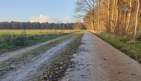 Geen archeologische waarden aangetroffen, fietspad Strubben-Kniphorstbosch mag afgewerkt en opengesteld