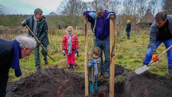 Inwoners Drenthe maken kans op 50 bomen voor de buurt