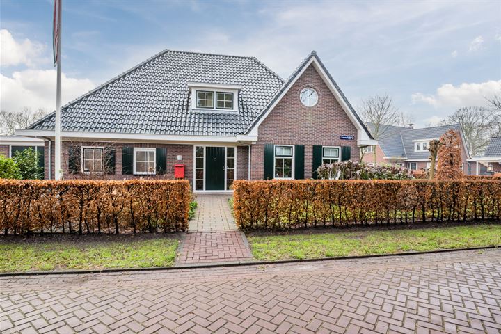 Te koop in Drenthe: vrijstaand landhuis met blokhut en grote tuin