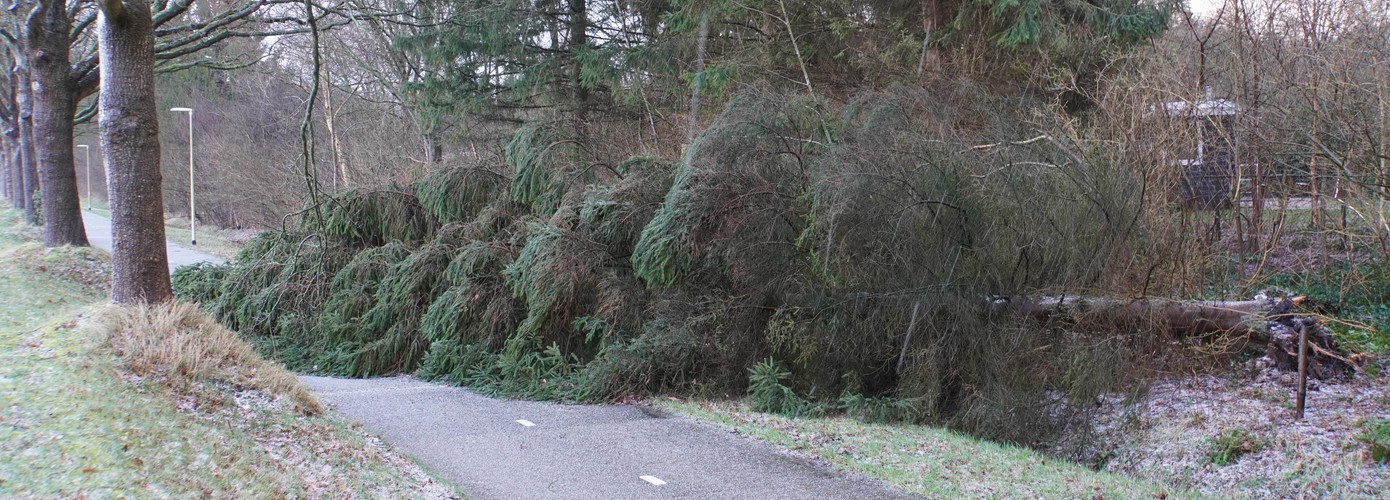 Vanavond en morgen code geel voor (zeer) zware windstoten