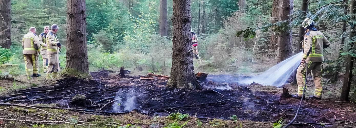 Brandweer weet door snel ingrijpen grote bosbrand te voorkomen