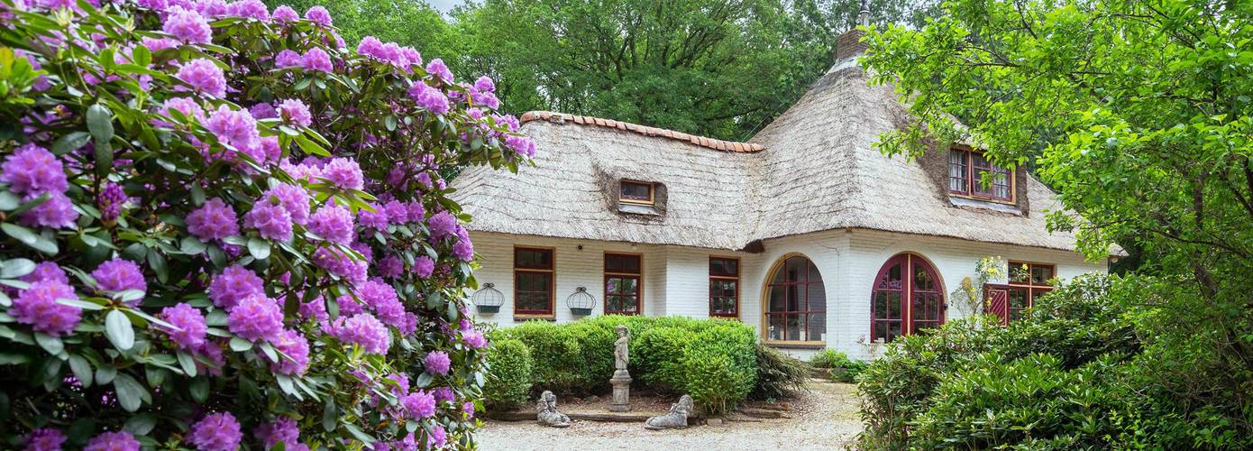 Te koop in Drenthe: vrijstaande landhuis tegen bosrand met zeer royale tuin