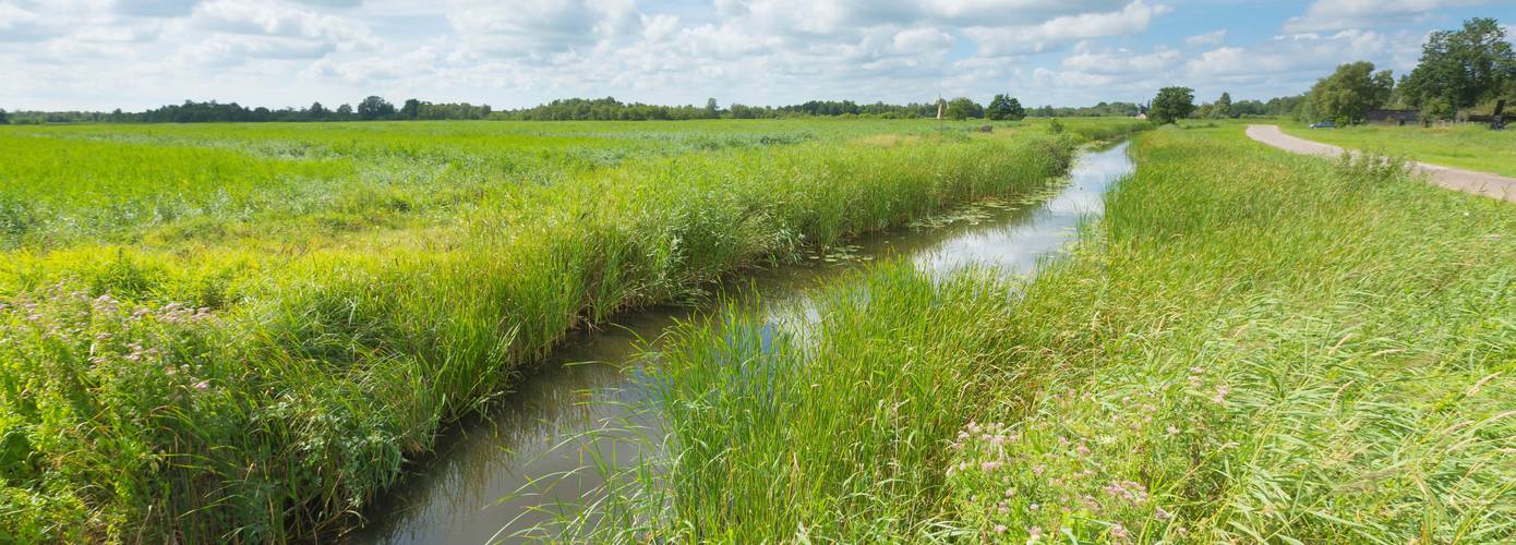 Waterschap zet sloten extra vol en houdt maximaal water vast