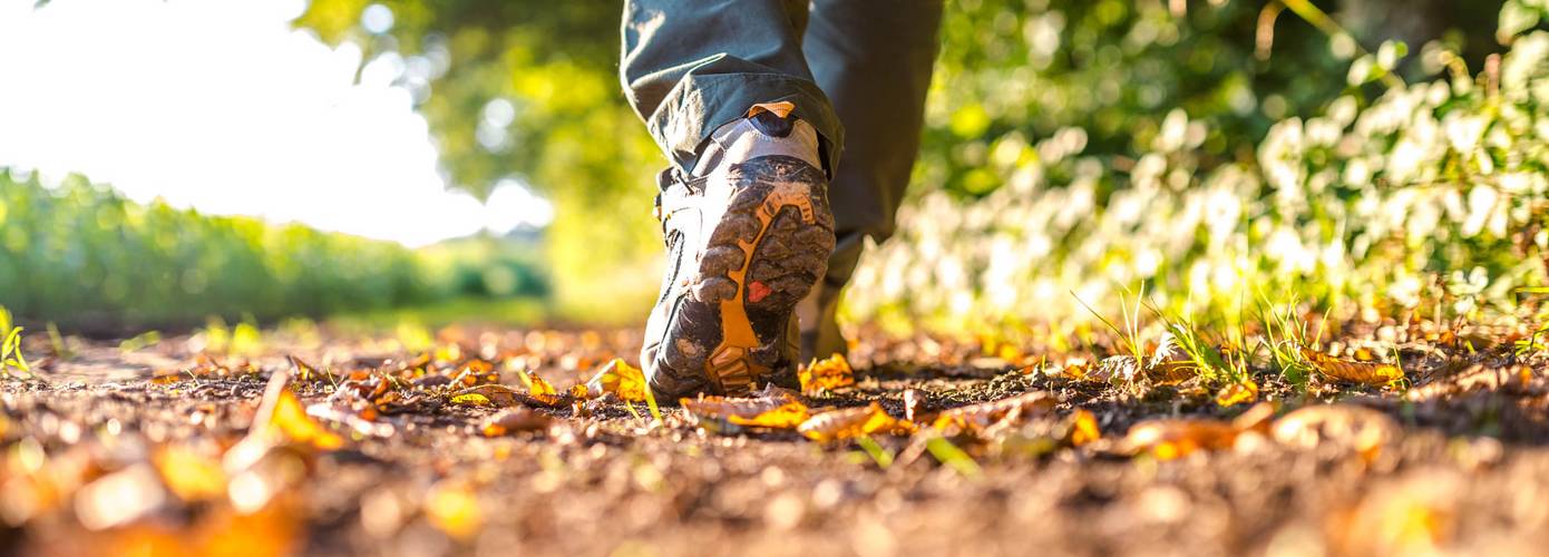 Laatste fase aanleg Drents wandelknooppuntennetwerk van start