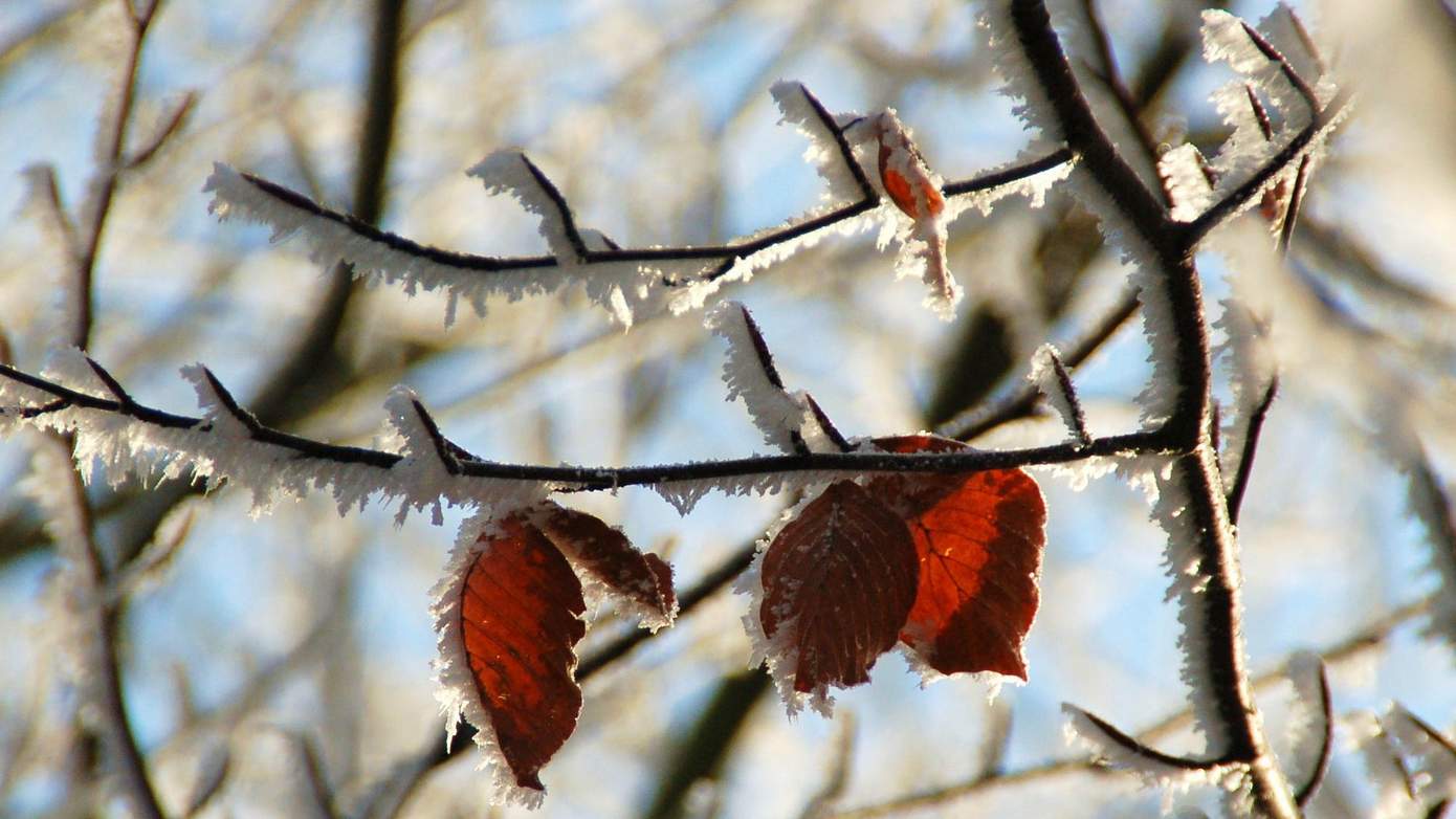 Drenthe had met bijna 2 graden vorst koudste plekje van Nederland afgelopen nacht