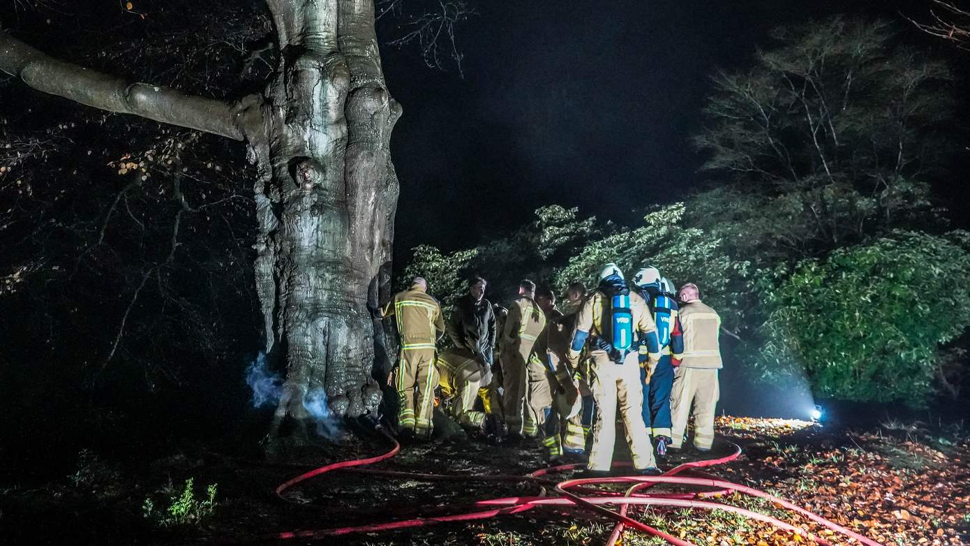 Brandweer ruim 1,5 uur bezig met brand in monumentale beuk