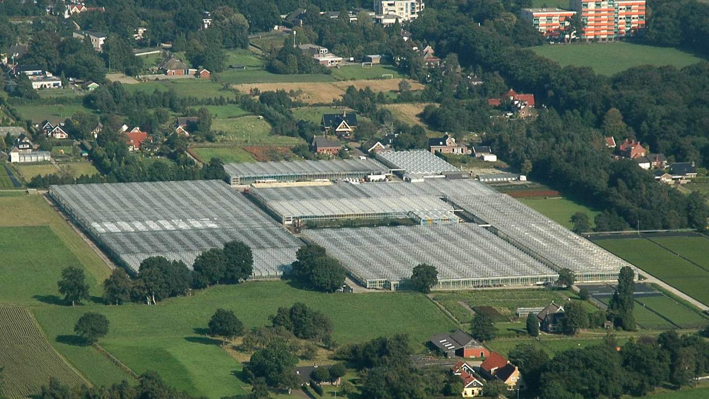 Kwekerij Arends in Paterswolde sluit na 97 jaar.