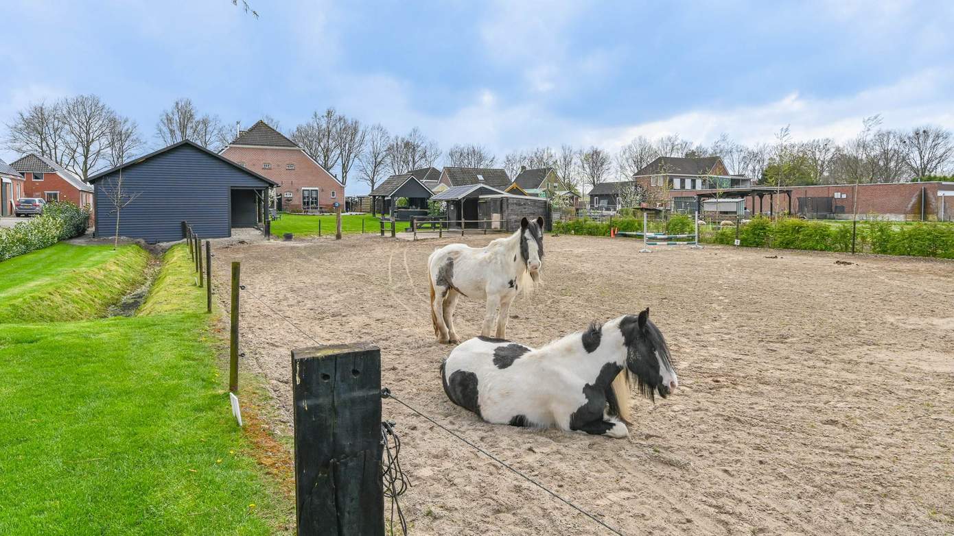 Te koop in Drenthe: vrijstaande woonboerderij met rijbak en grote schuur
