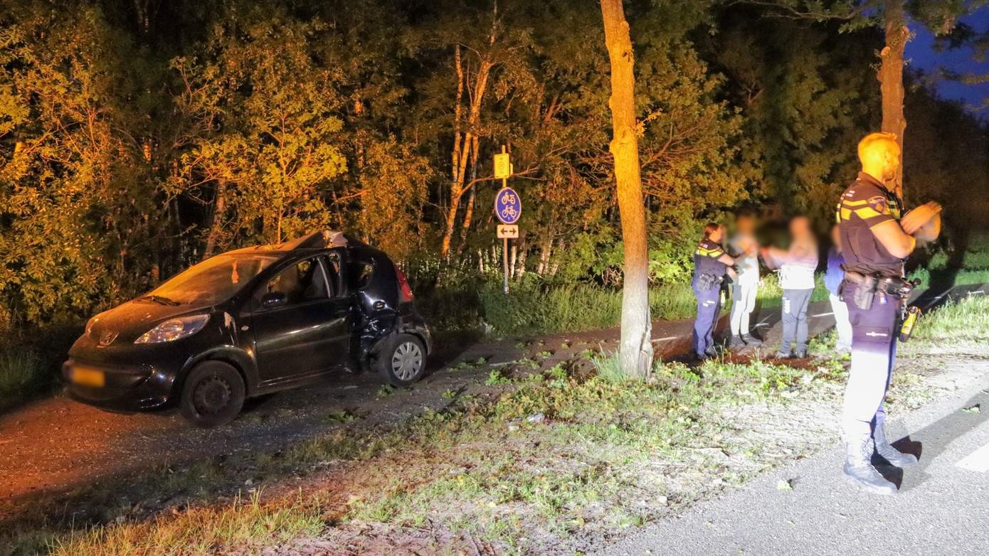 Bestuurster gewond na botsing met boom