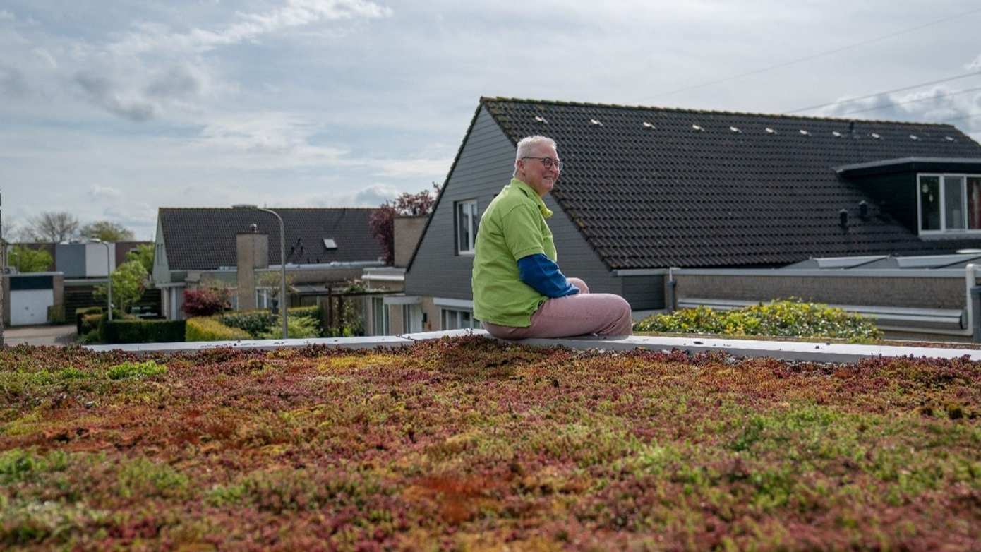 Henny Hauschilds duurzame keuze: Groen dak in Hoogeveen