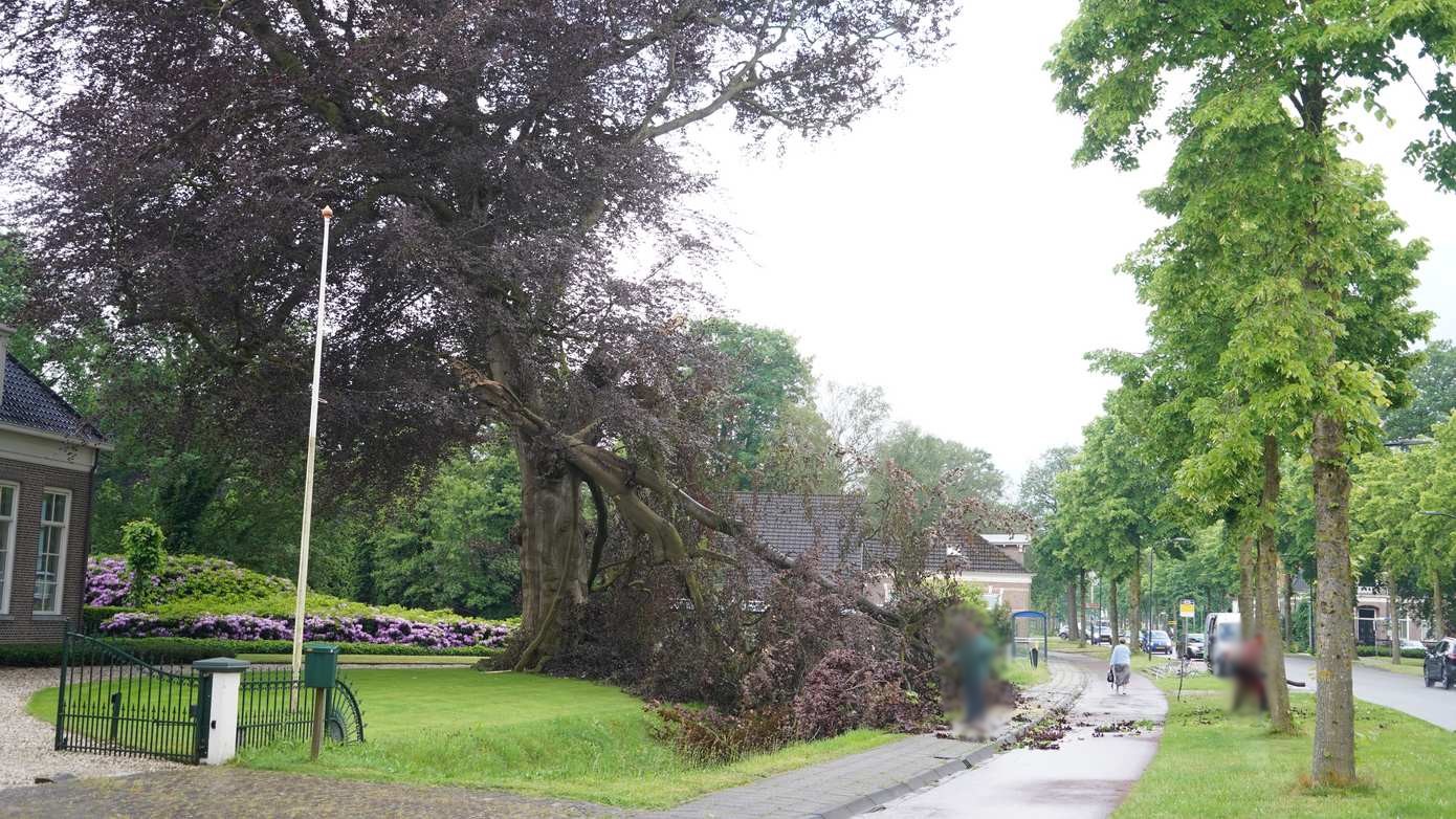 Forse onweersbui trekt over Noord-Drenthe en slaat in op boom in Vries