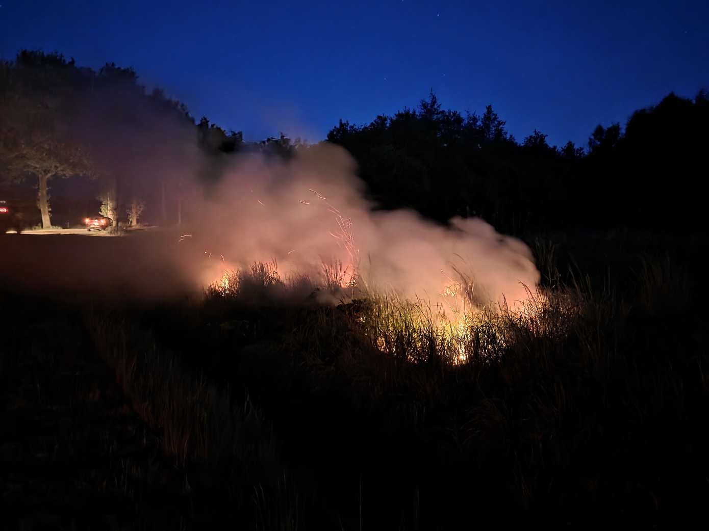 Brandweer blust zo'n 50 vierkante meter aan bermbrand in Amen