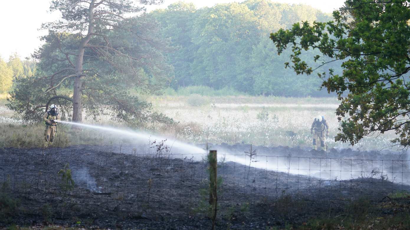 Forse heidebrand snel onder controle gebracht in natuurgebied