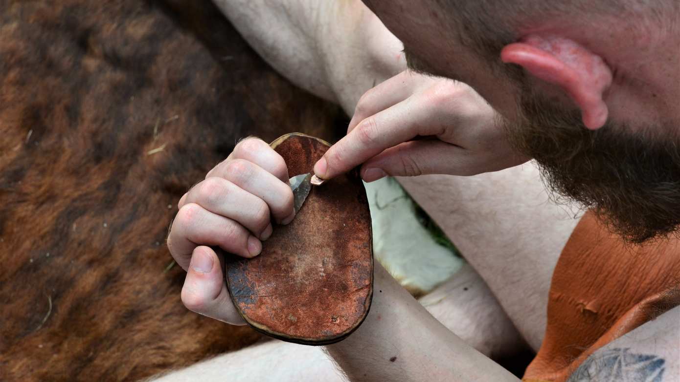 Fossielen, vuursteen en grote beesten: Mammoetdagen bij het Hunebedcentrum