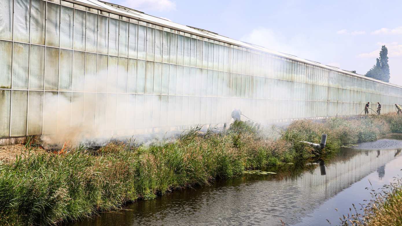Ongeveer 60 meter berm weggebrand langs kassencomplex; brandweer voorkomt erger