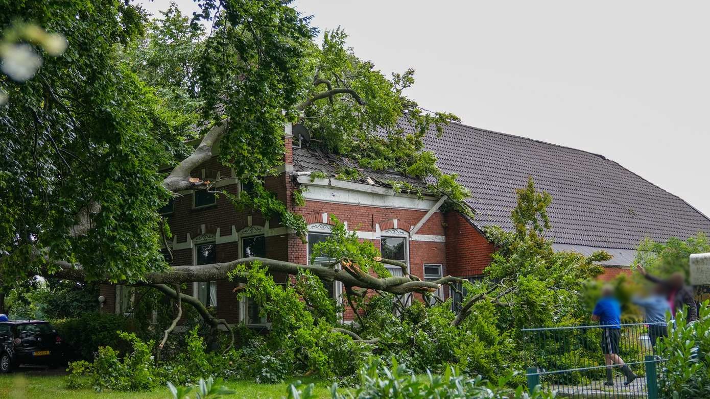 Monumentale boom valt in slaapkamer van woning tijdens onweersbui
