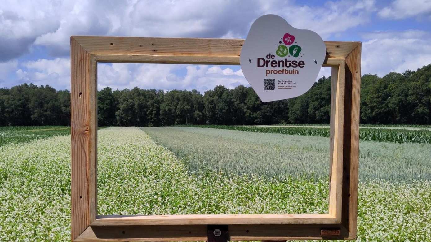 De Drentse proeftuin gelanceerd: landbouw van de toekomst groeit hier al