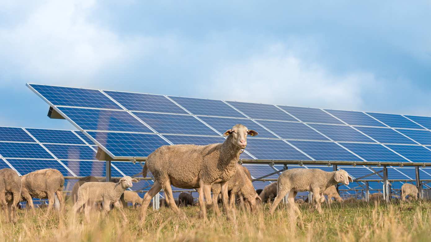 Zonne-energie langs de A28 en A32: gemeenten en Rijkswaterstaat tekenen intentieverklaring voor verkenning 