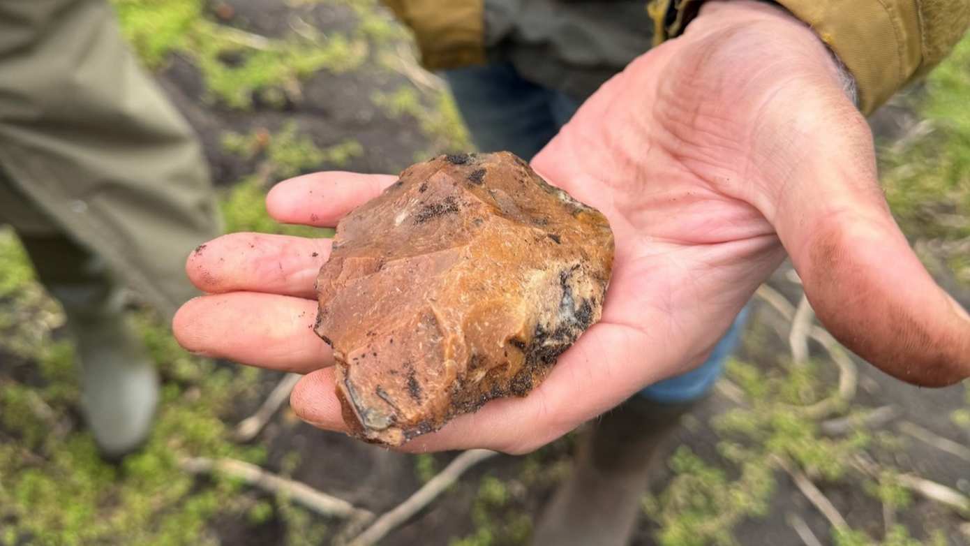 Bijzondere vindplaats Neanderthalers bij Noordsche Veld in Peest