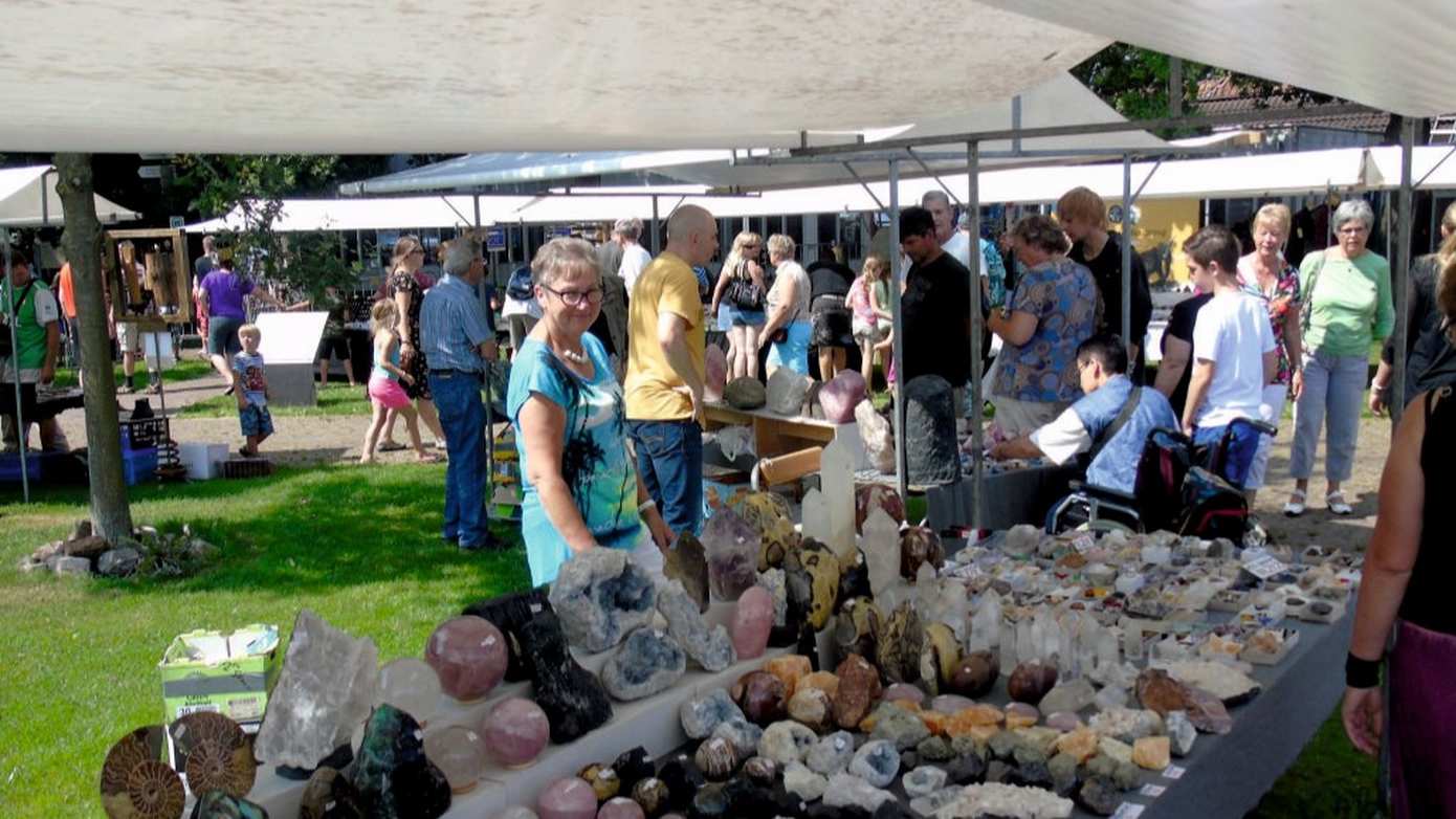 Internationale belangstelling voor vierde Oertijdmarkt op 27 juli in Emmen 