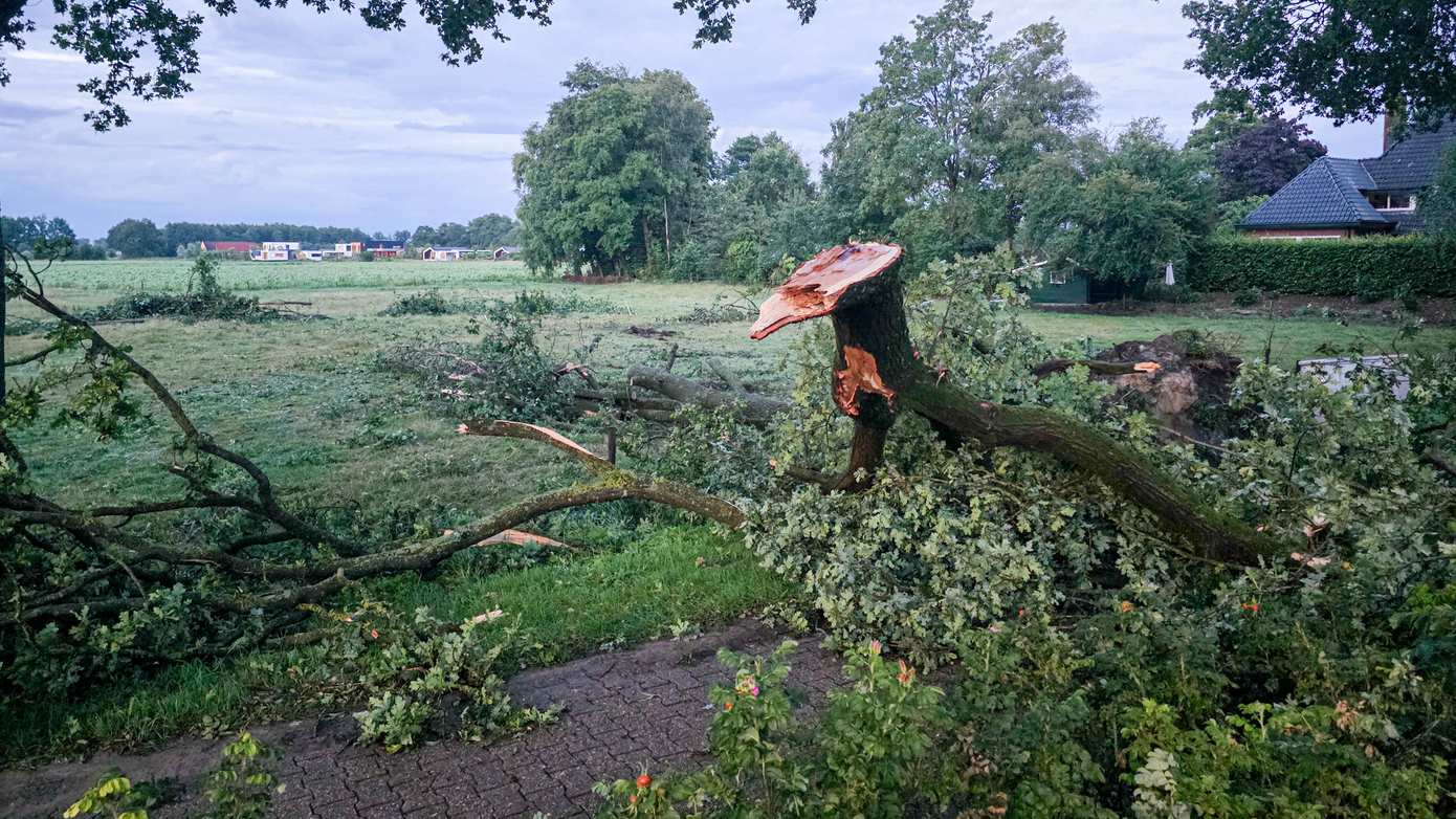 Bomen en takken waaien om tijdens hevige onweersbui bij Beilen