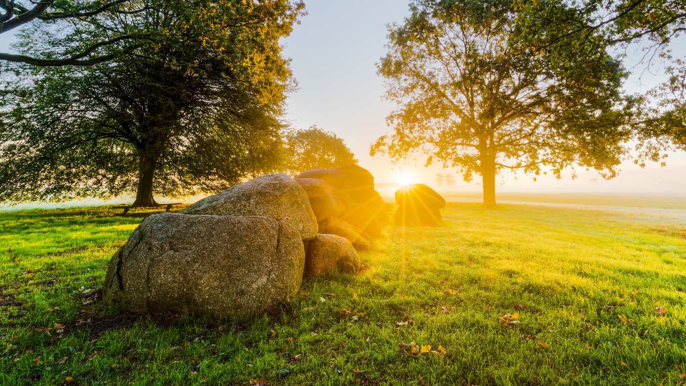 Dag van het Hunebed: verhalen en beleving rond oeroude monumenten