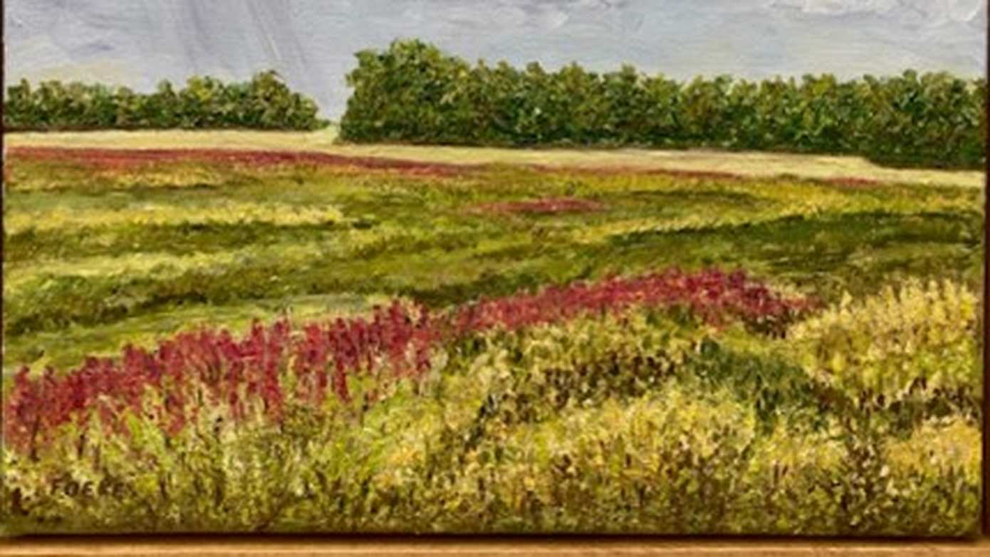 Expositie “Aa en Hunze in Olieverf” in gemeentehuis Gieten