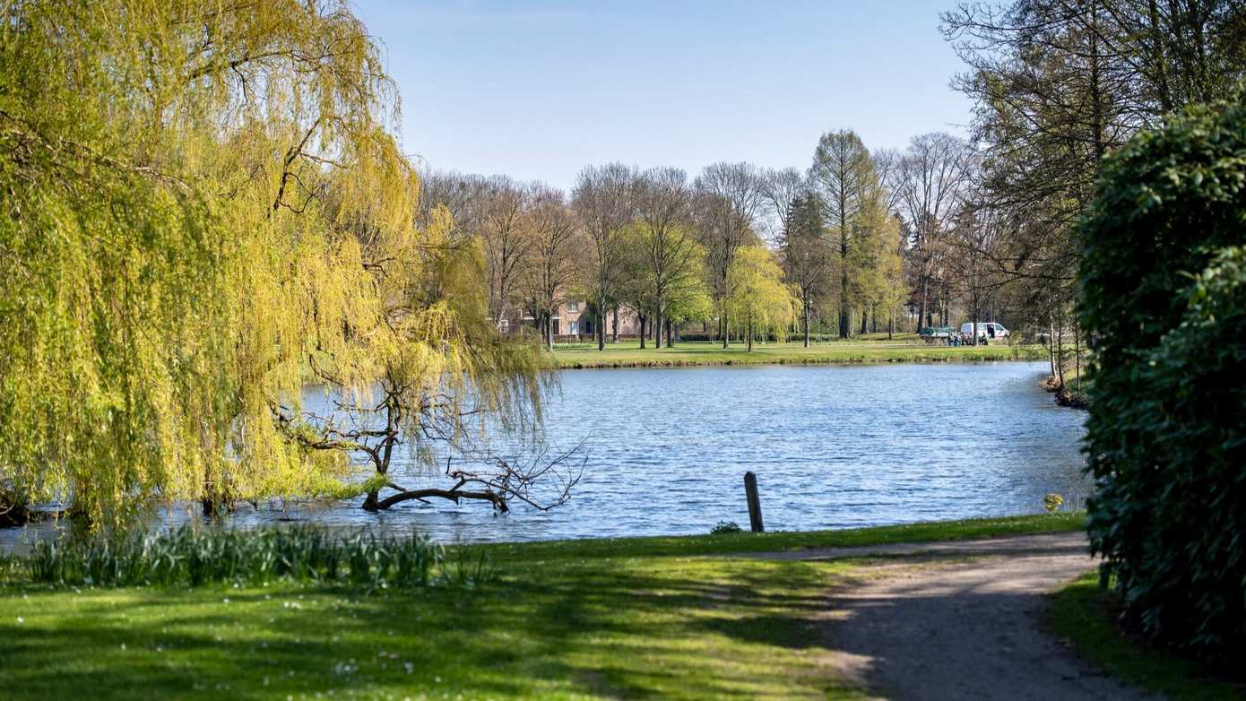 Dode ganzen aangetroffen in park Coevorden; gemeente doet onderzoek naar vogelgriep