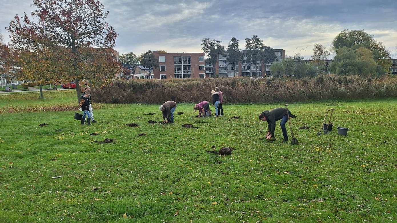 Bloembollen voor biodiversiteit in Eelde-Paterswolde