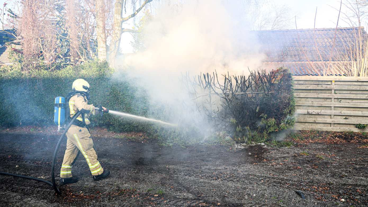 Coniferen in brand door vuurwerk in Klazienaveen