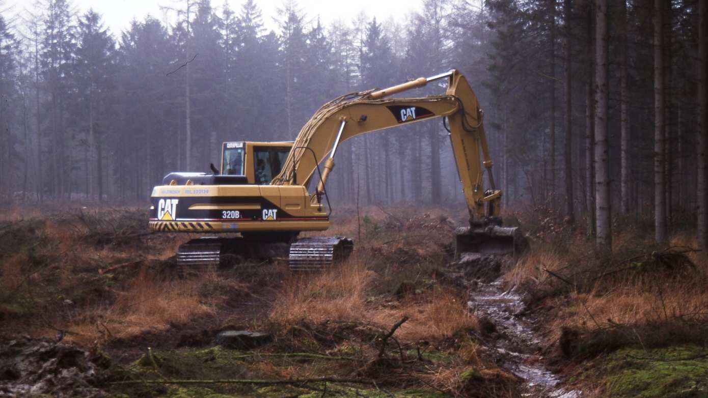 Staatsbosbeheer werkt aan natter Dwingelderveld