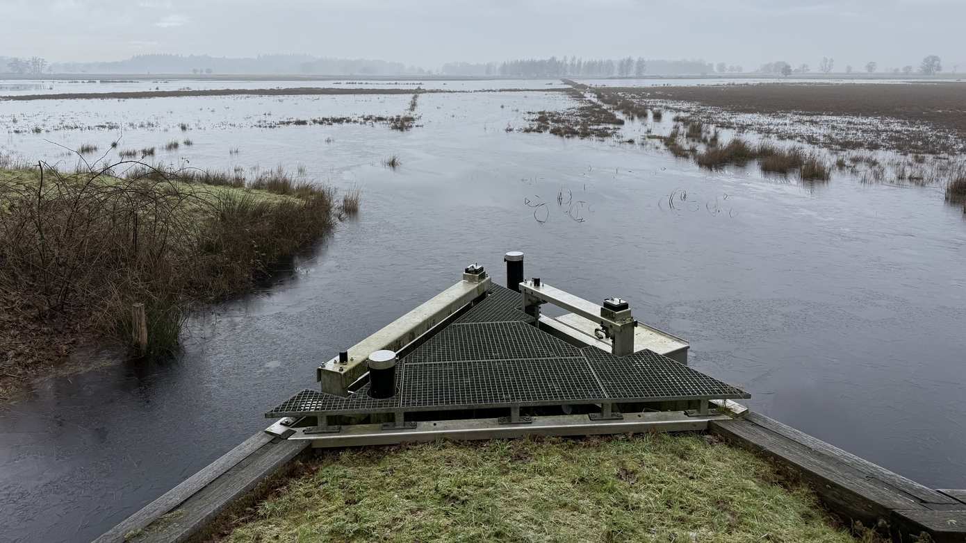 Waterschap Drents Overijsselse Delta gaat Ruiner Aa aanpakken